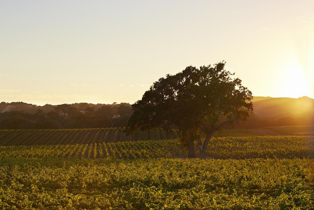 Summerwood Inn Paso Robles Camera foto